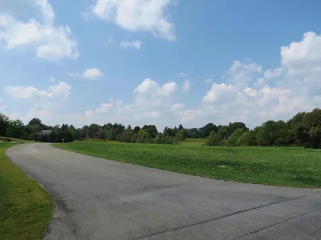 #3