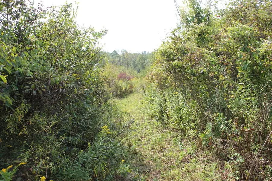 00 Stone House Rd, Shippenville, PA 16254 - Image #3