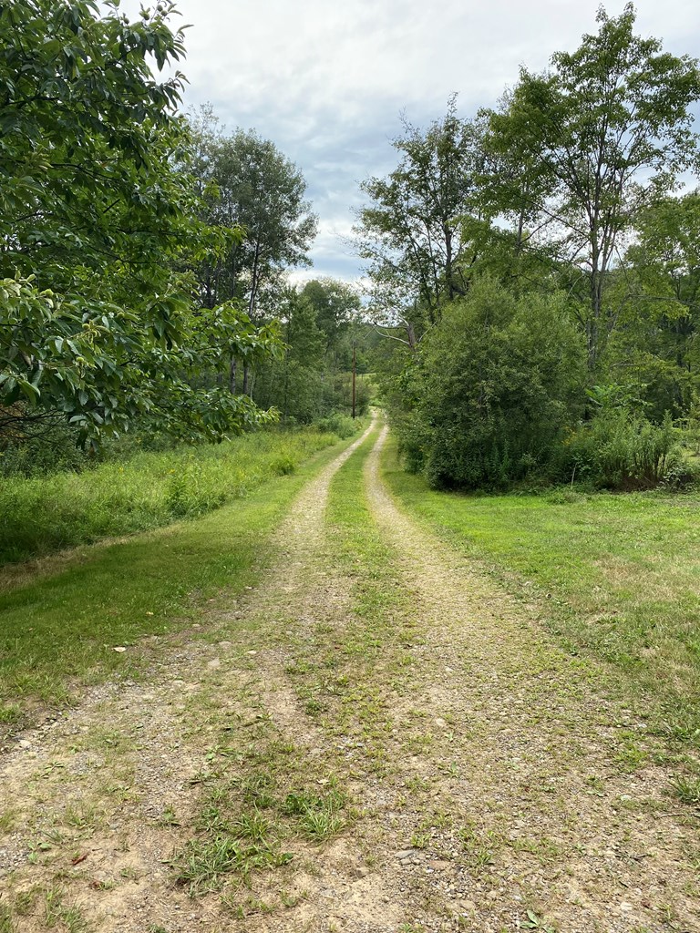 #3
