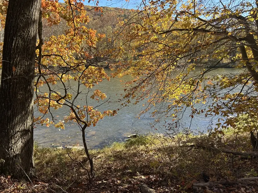 Lot 40 Jean Way, West Hickory, PA 16370 - Image #3