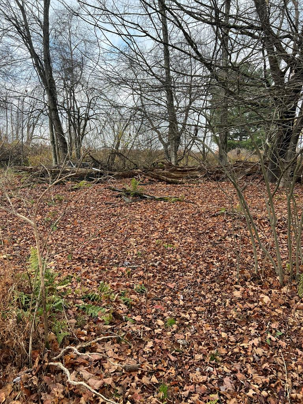 0 Big Bend Road, Emlenton, PA 16373