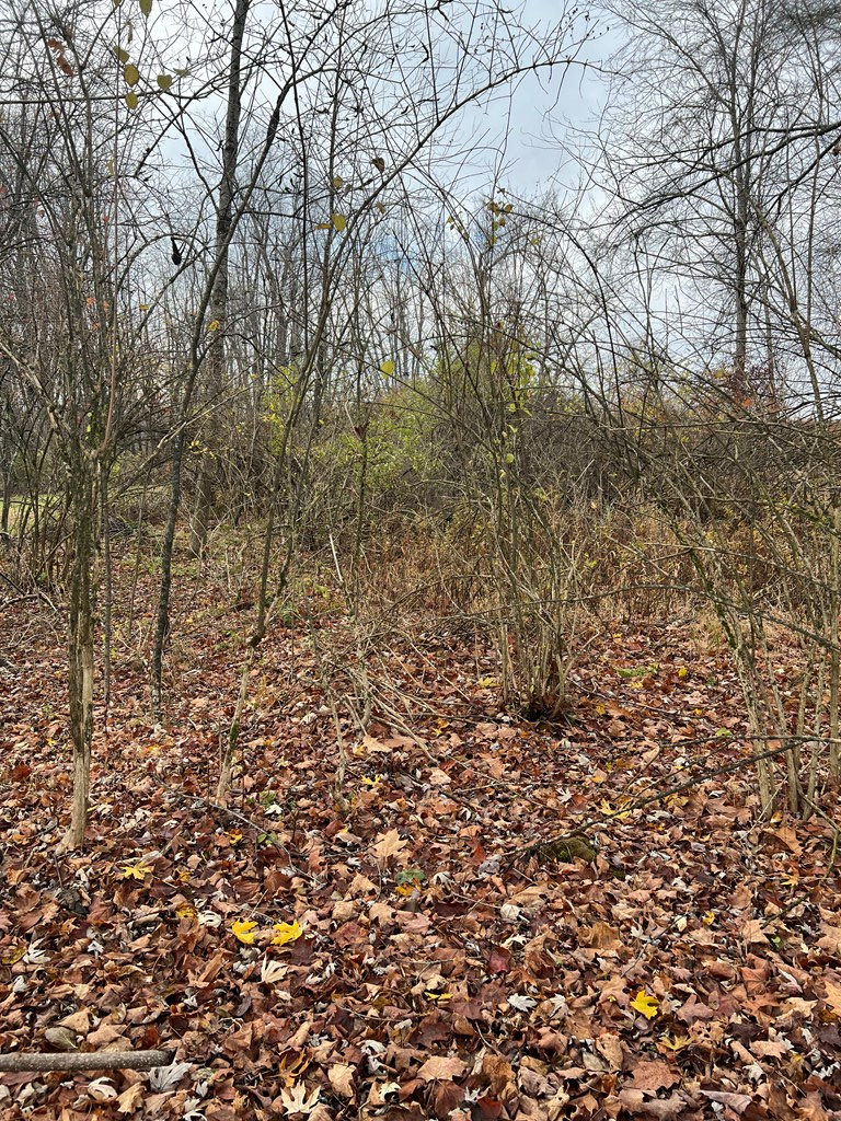 0 Big Bend Road, Emlenton, PA 16373 - Image #3