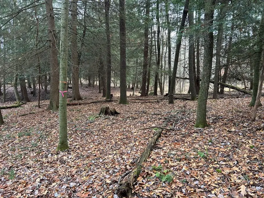 0. Miola Road, Clarion, PA 16214 - Image #3