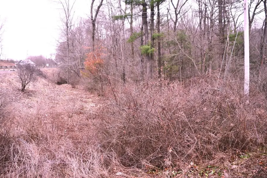 0 Piney Road, Clarion, PA 16214 - #3