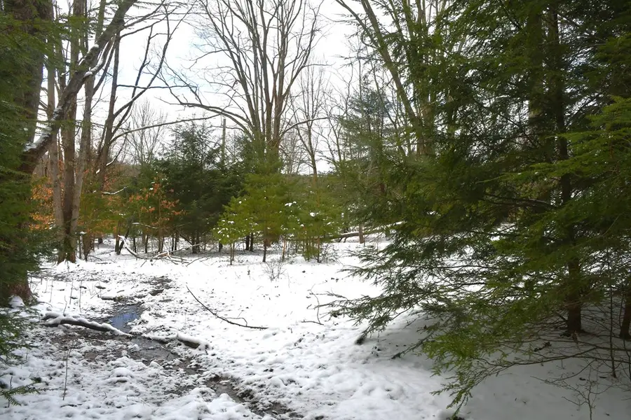 40 Beechwoods Lane, Brookville, PA 15825 - #2