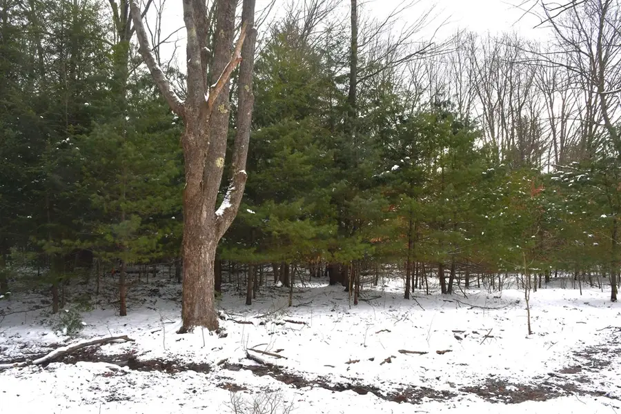 40 Beechwoods Lane, Brookville, PA 15825 - #3