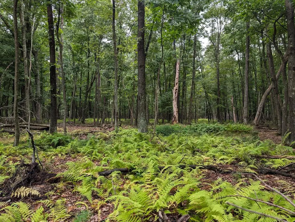 873 Burns Road, Venus, PA 16364 - #1