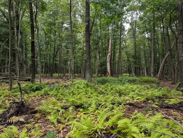 873 Burns Road, Venus, PA 16364