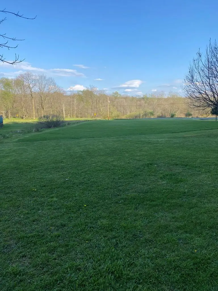 1695 Bradleytown Rd, Cooperstown, PA 16317 - #3