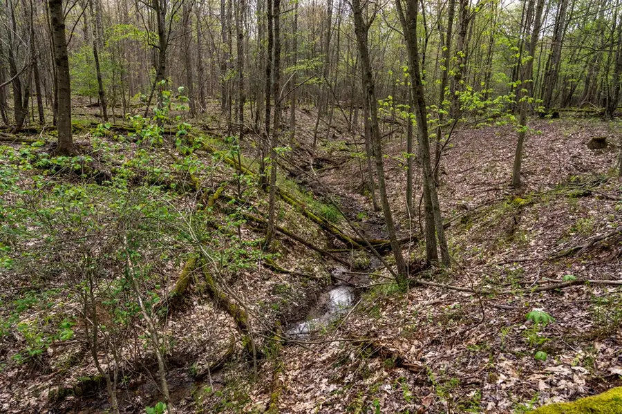 0 Huefner Spring Road, Shippenville, PA 16254 - #3