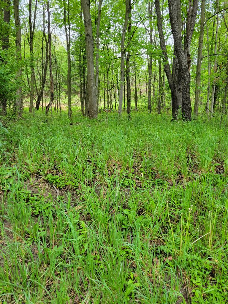 00 Rt 68, Sligo, PA 16255 - #1