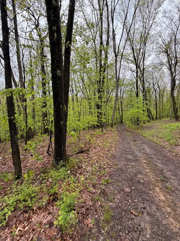 318 Upper Lease Road, West Hickory, PA 16351