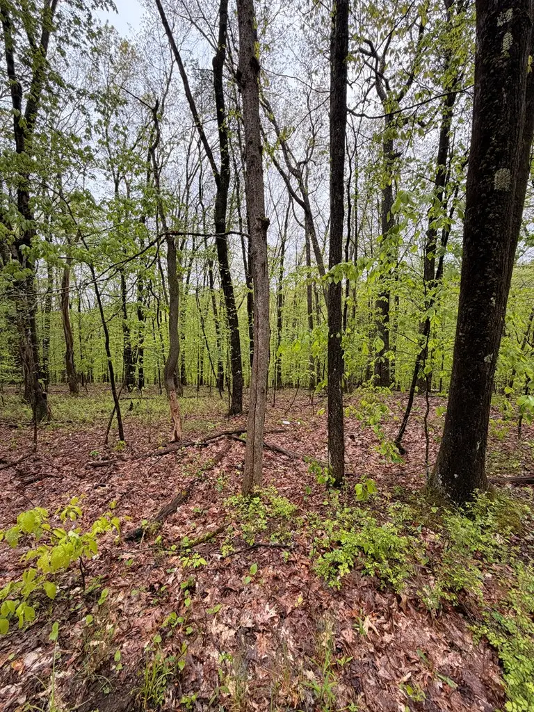 318 Upper Lease Road, Harmony, PA 16351 - #2
