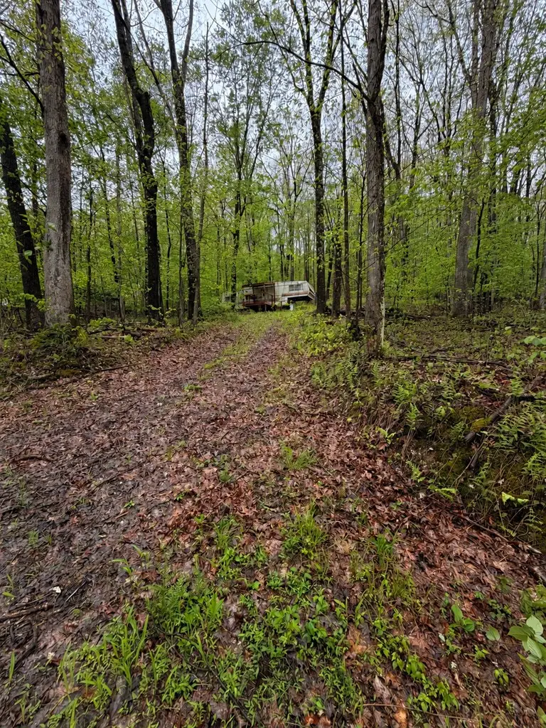 318 Upper Lease Road, Harmony, PA 16351 - #3