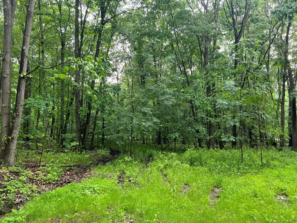 241 Aires Hill Road, Cranberry, PA 16319 - #1