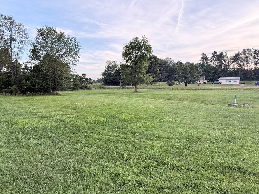 00 Shade Tree, Franklin, PA 16323 - #2