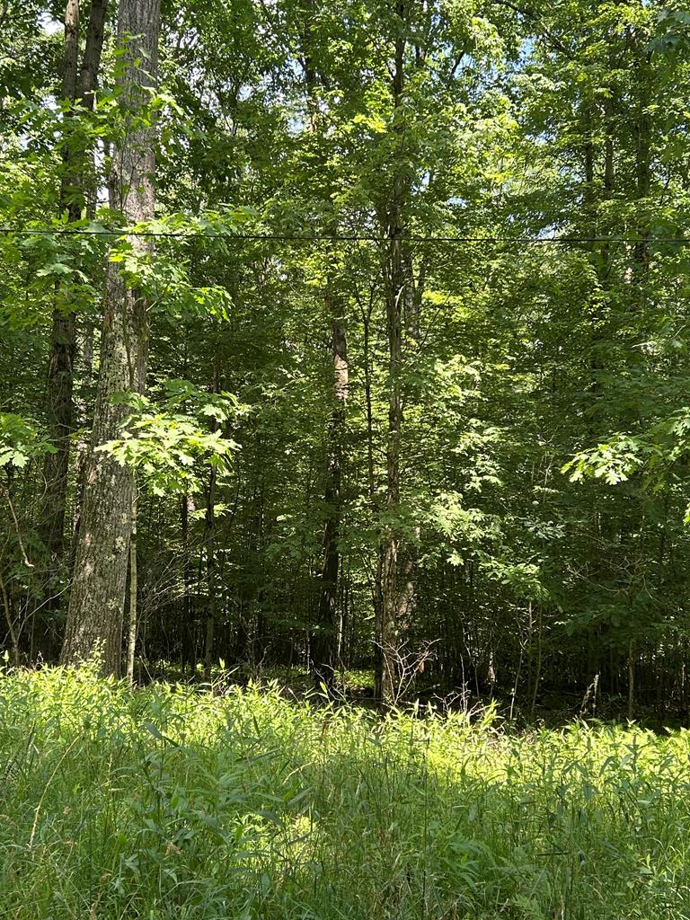 00 Drake Well Road, Titusville, PA 16354 - #1