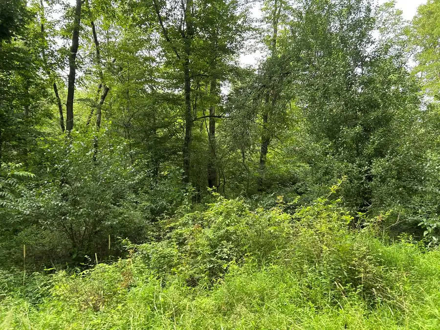 . Holly Hill Road, Rimersburg, PA 16248 - #2