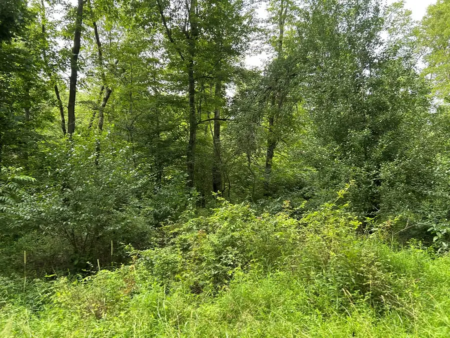 . Holly Hill Road, Rimersburg, PA 16248 - #3
