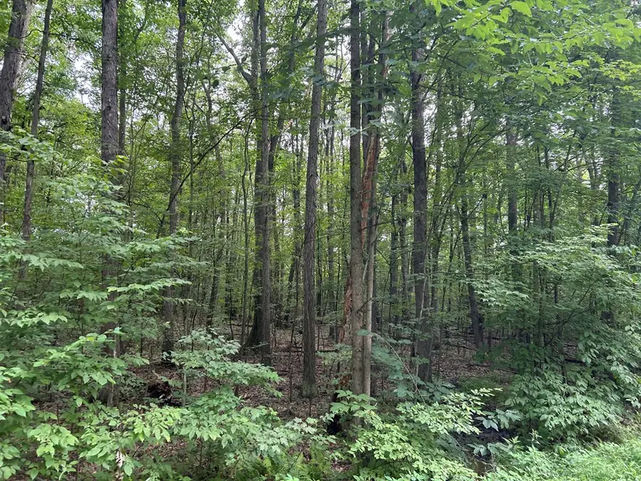 ... Kelly Rd And Holly Hill Road, Rimersburg, PA 16248 - #3