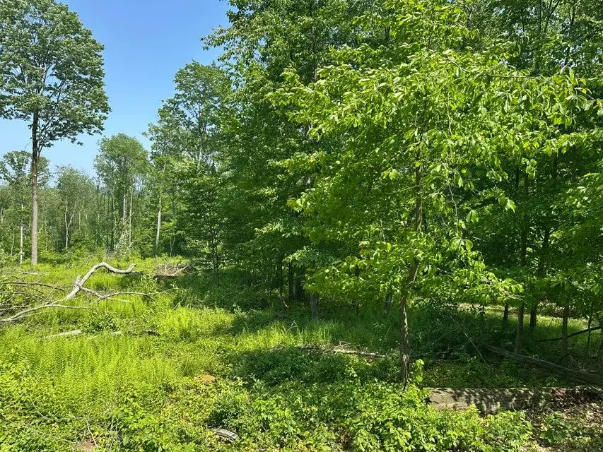 6B Turkey Hollow Road, Sigel, PA 15860 - #2
