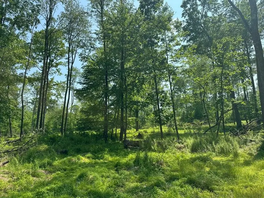 6B Turkey Hollow Road, Sigel, PA 15860 - #3