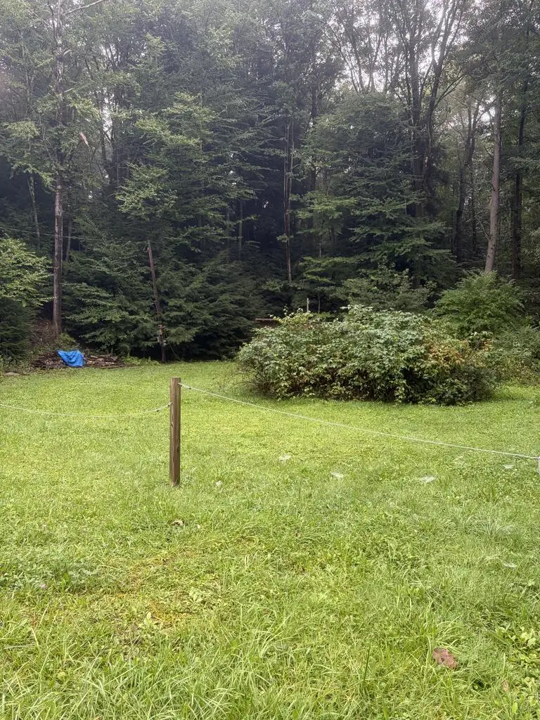 6175 Us 62, Tionesta, PA 16353 - #2