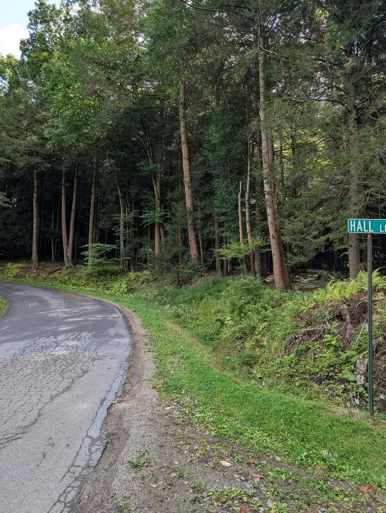 0 Church Hill Rd, Tionesta, PA 16353 - #2