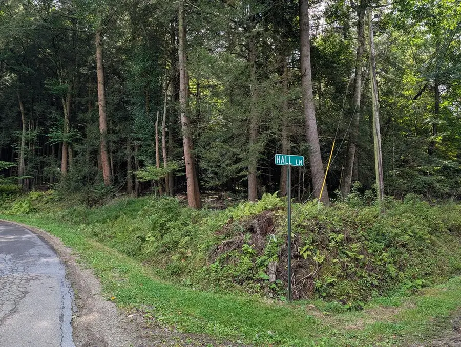 0 Church Hill Rd, Tionesta, PA 16353 - #3