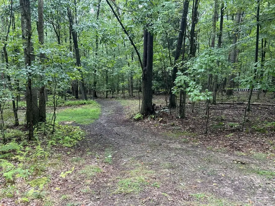 274 Bair Road, Tionesta, PA 16353 - #2