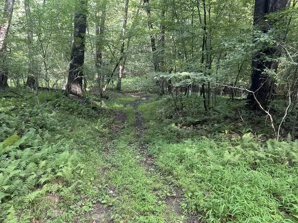 . Valley Drive, Leeper, PA 16233