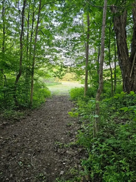 #3