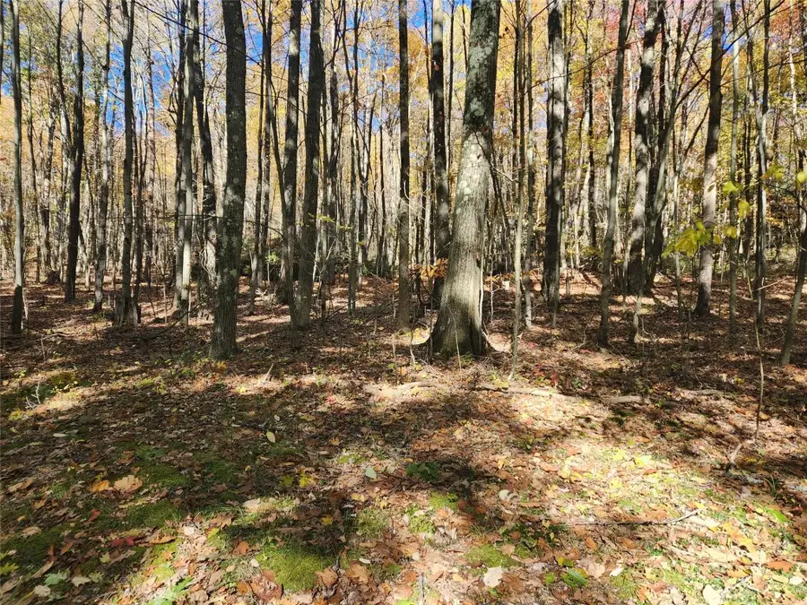 3656 Miles Run Road, Spring Creek, PA 16436 - Image #2