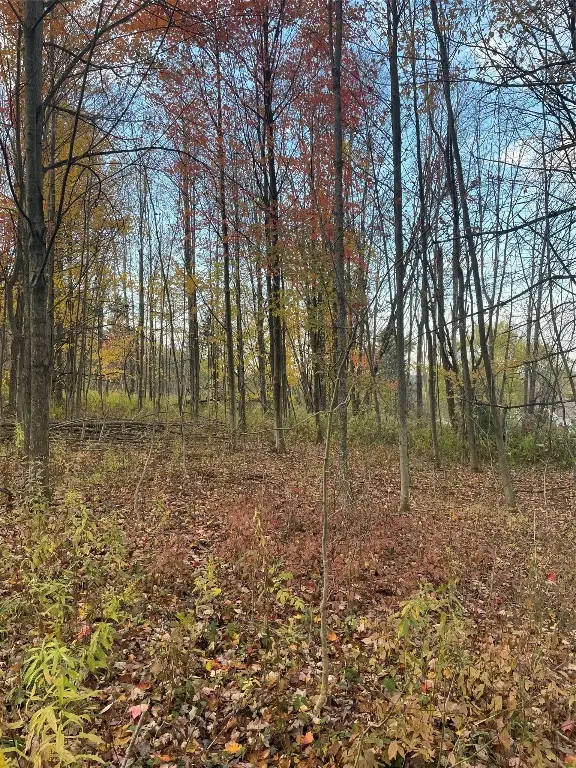 Lot 701 Kosiorek Drive, Greene, PA 16509 - Image #2