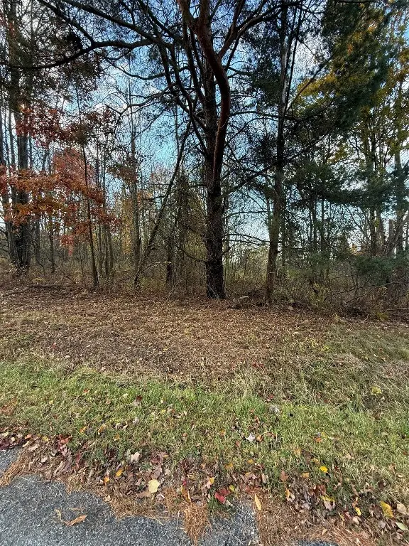 Lot 702 Kosiorek Drive, Greene, PA 16509 - Image #3