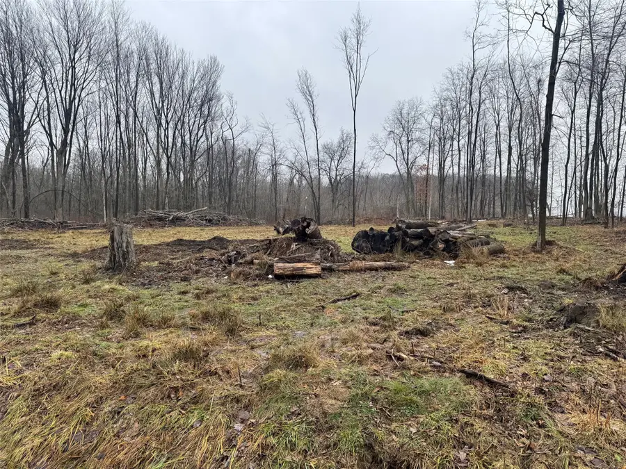 1st Street, Linesville, PA 16424 - #2