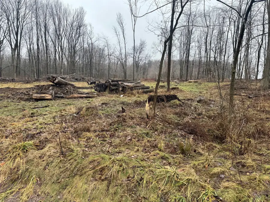 1st Street, Linesville, PA 16424 - #3