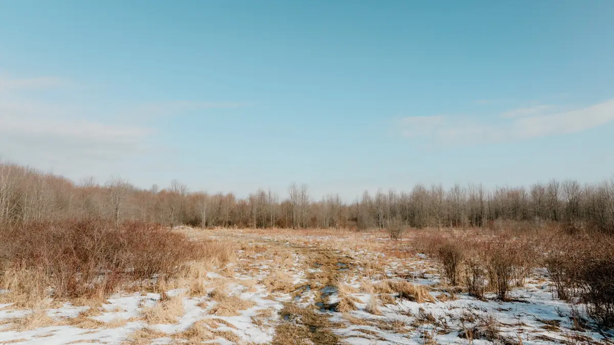 9380 Babbitt Road, Cranesville, PA 16410 - #1