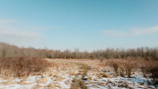 9380 Babbitt Road, Cranesville, PA 16410