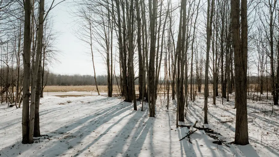 9380 Babbitt Road, Cranesville, PA 16410 - #2