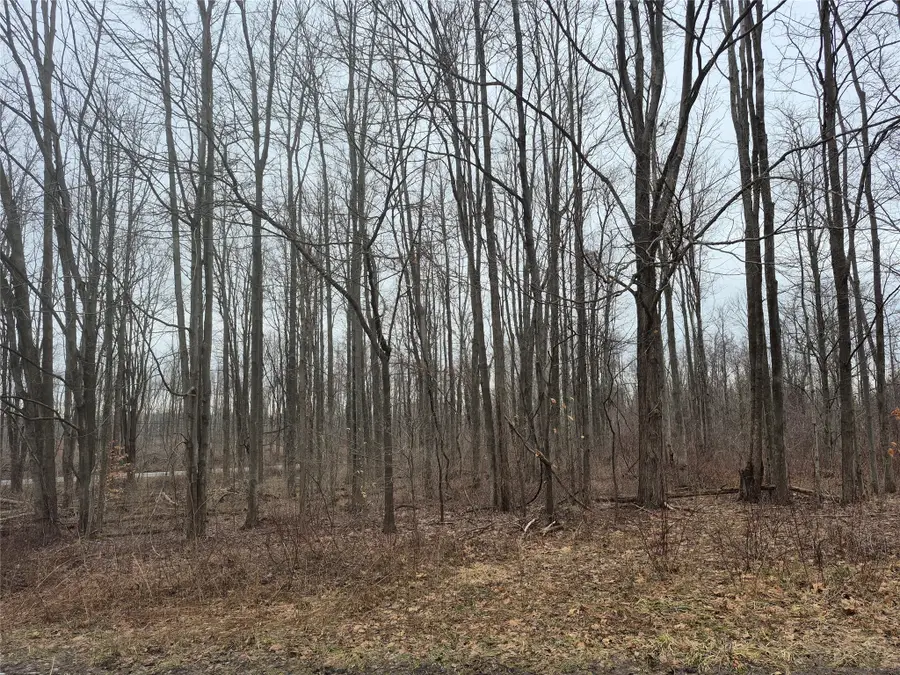 0 Rte 6n Street, Albion, PA 16401 - #3