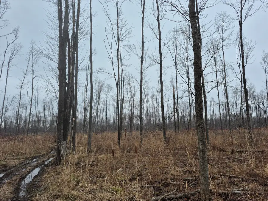 0 Griffey Road, West Springfield, PA 16443 - #3