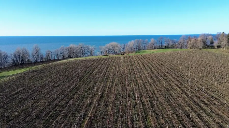 000 E Lake Road, North East, PA 16428 - #3