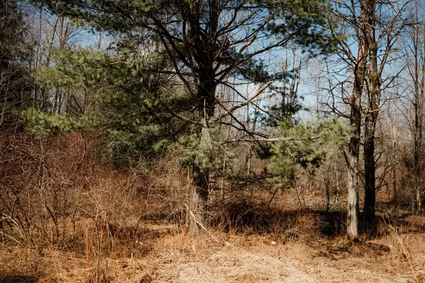 0 Shreve Road, Union City, PA 16438