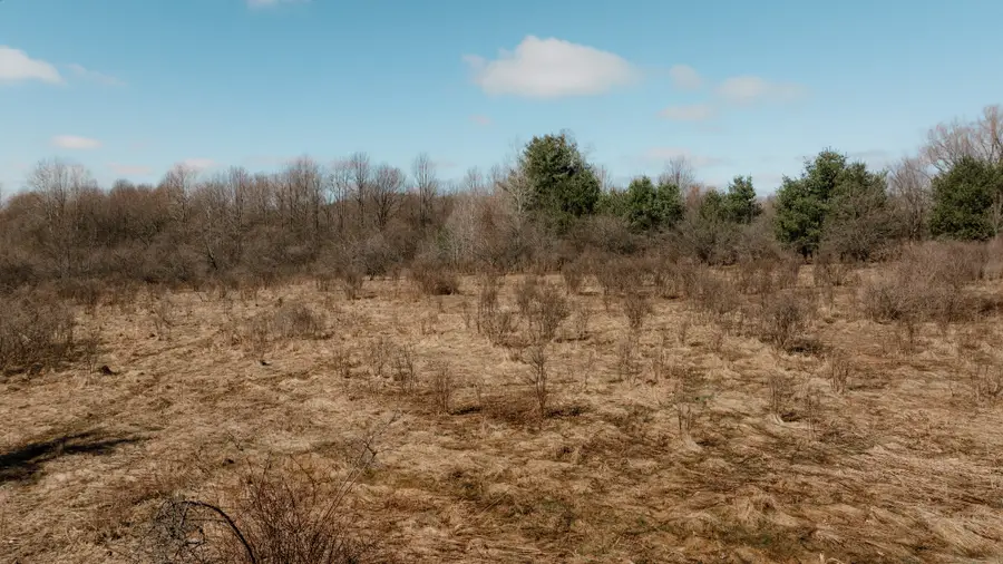 0 Shreve Road, Union City, PA 16438 - #2