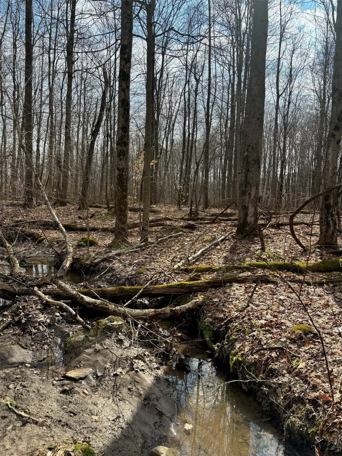 2994 County Line Road, Cochranton, PA 16314 - #1