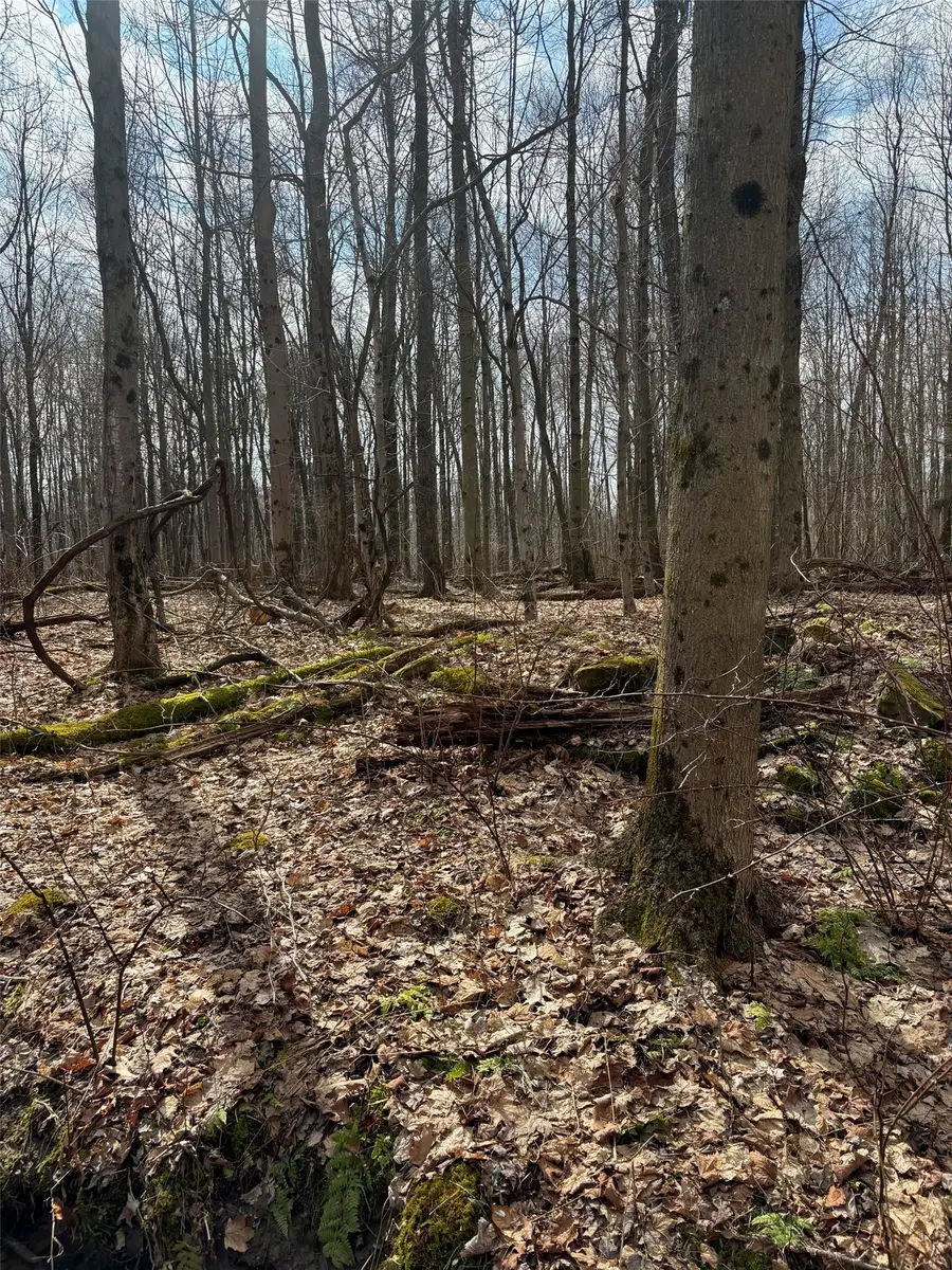 2994 County Line Road, Cochranton, PA 16314 - #2