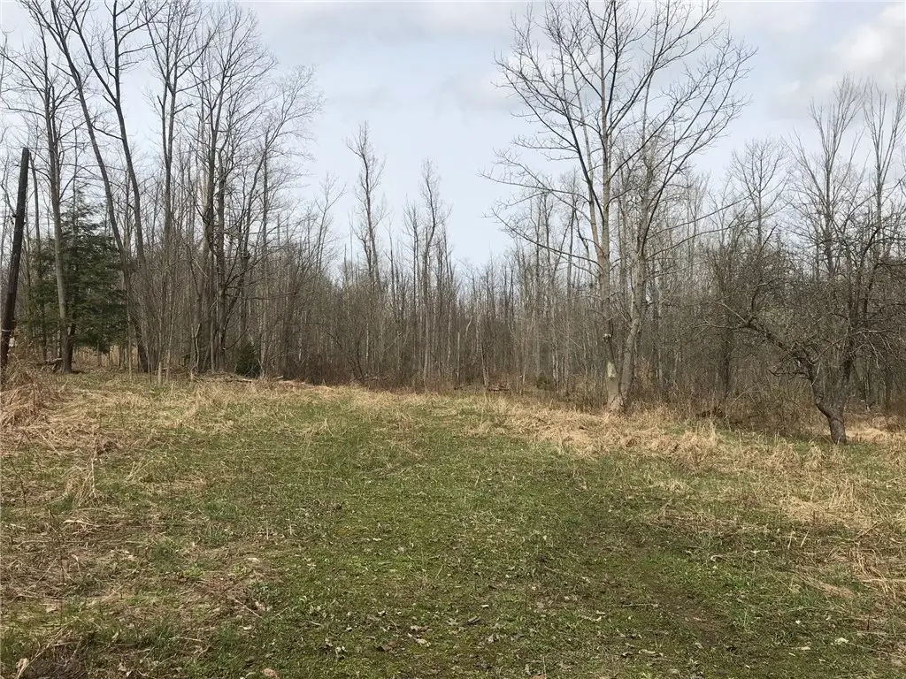 5560 Zessinger Road, McKean, PA 16426 - #1