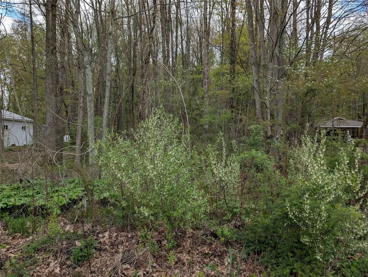 Maple Drive, Linesville, PA 16424 - #1