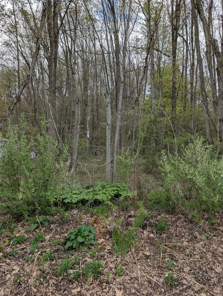 Maple Drive, Linesville, PA 16424 - #2